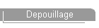 Depouillage