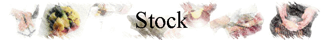 Stock