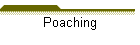 Poaching