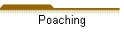 Poaching