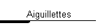 Aiguillettes