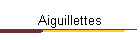 Aiguillettes