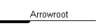 Arrowroot