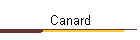 Canard