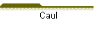 Caul