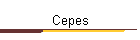 Cepes