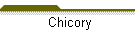 Chicory