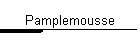 Pamplemousse