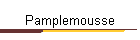 Pamplemousse