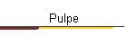 Pulpe