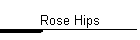 Rose Hips