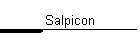 Salpicon