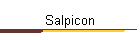 Salpicon