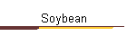 Soybean