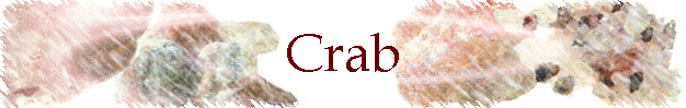 Crab