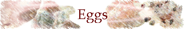 Eggs