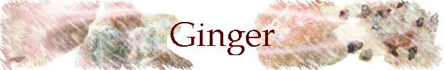 Ginger