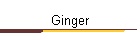 Ginger