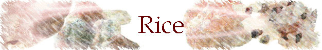 Rice