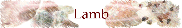 Lamb