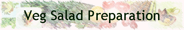 Veg Salad Preparation
