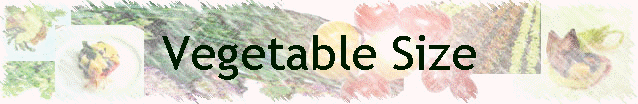 Vegetable Size