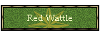 Red Wattle