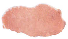 2.0_color.jpg (8977 bytes)