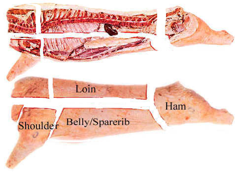 Pork Skeletal Chart