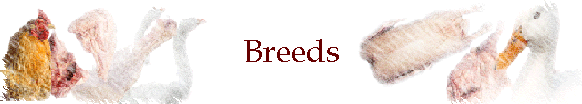 Breeds