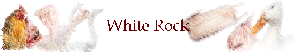 White Rock