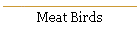 Meat Birds