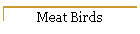 Meat Birds