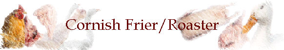 Cornish Frier/Roaster