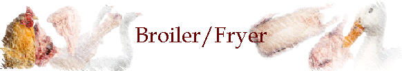 Broiler/Fryer