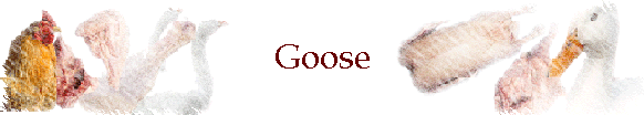 Goose