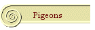 Pigeons