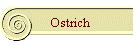 Ostrich