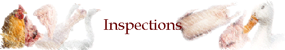 Inspections