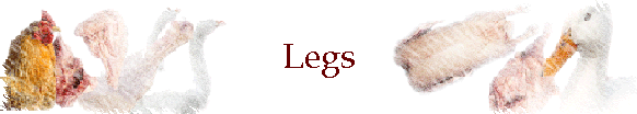 Legs