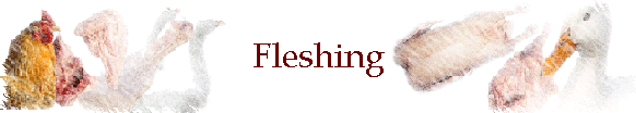 Fleshing