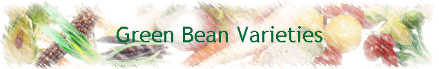 Green Bean Varieties