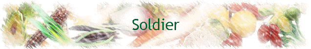 Soldier