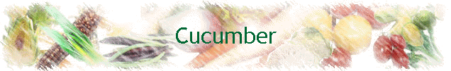 Cucumber