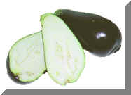 Eggplant B.jpg (94653 bytes)