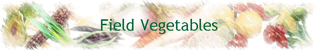 Field Vegetables