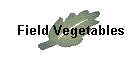 Field Vegetables