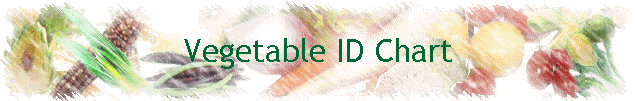 Vegetable ID Chart