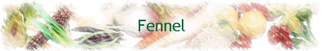 Fennel