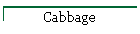 Cabbage